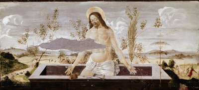 Meryemana resmi. St Barnaba sunağı detayı (ahşap üzerine tempera) by Sandro Botticelli