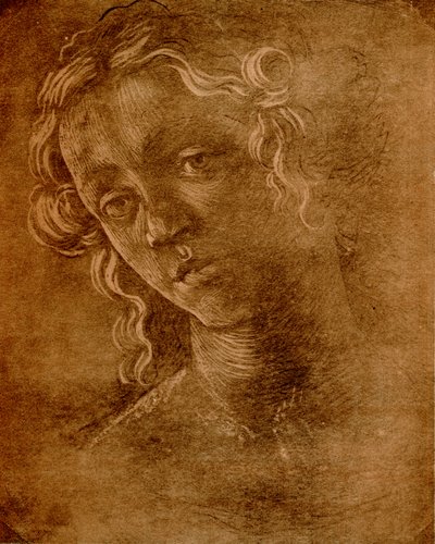 kadın kafa by Sandro Botticelli