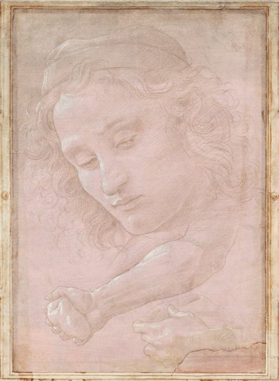 Şapkalı Bir Genç Başkanın; Elin Taşı Tuttuğu Sağ Ön Kol; ve Perdeyi Tutan Sol El by Sandro Botticelli