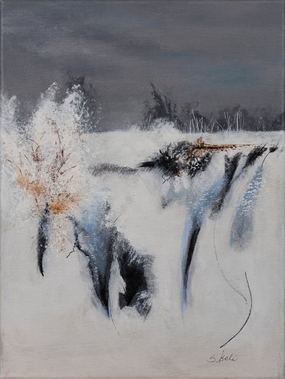  by Sandy Iseli
