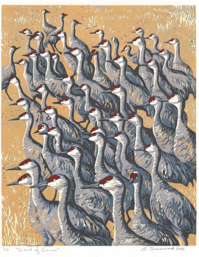  by Sarah Drummond