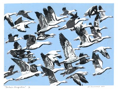  by Sarah Drummond