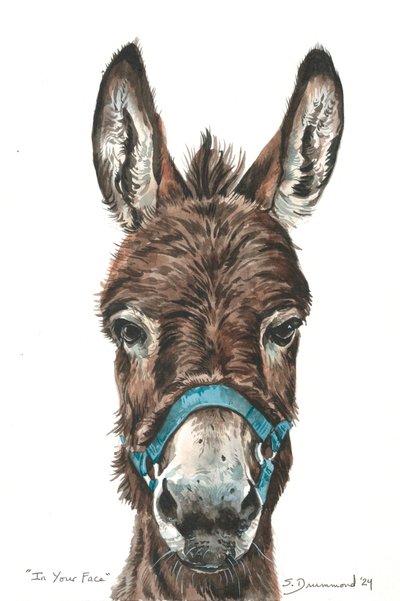  by Sarah Drummond