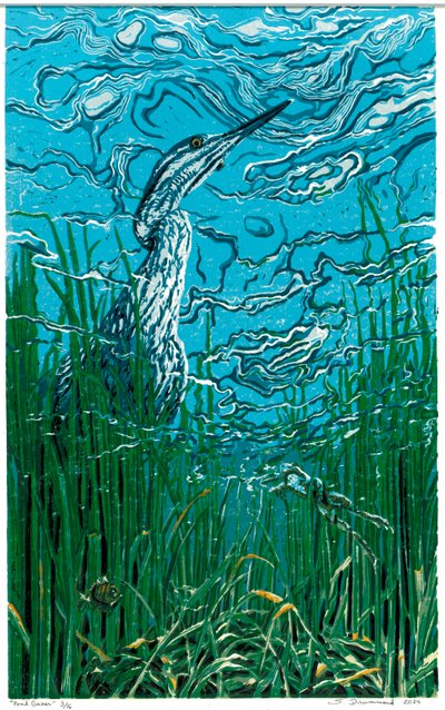  by Sarah Drummond