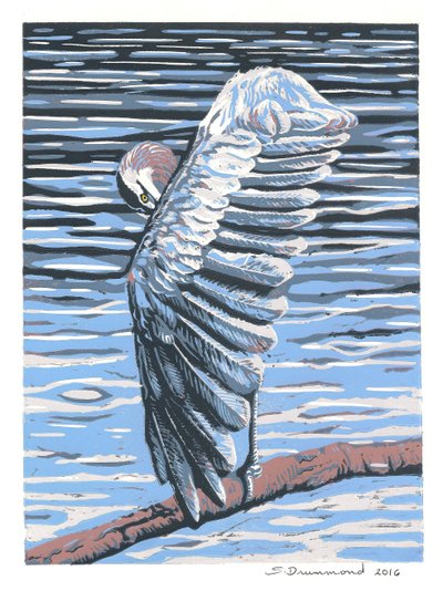 Reflection, 2016 (resim) by Sarah Drummond