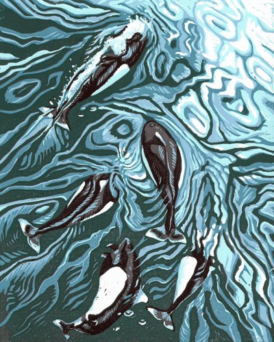  by Sarah Drummond