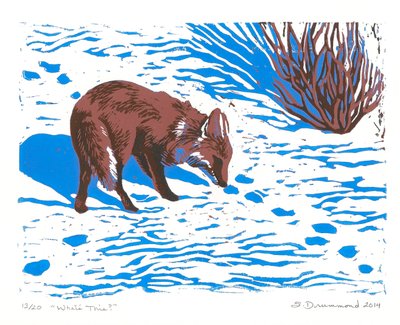  by Sarah Drummond