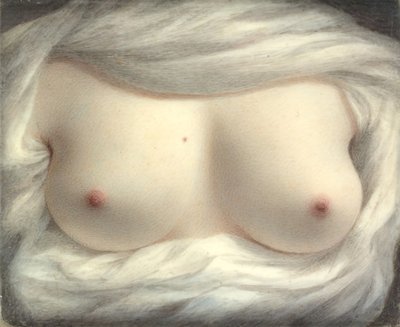 Güzellik Ortaya Çıktı, 1828. by Sarah Goodridge