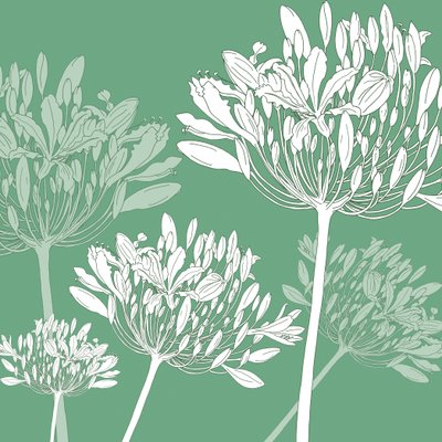Agapanthus meltemi, 2005 (dijital) by Sarah Hough