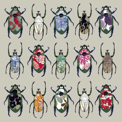 Beetledrive, 2008 (dijital) by Sarah Hough