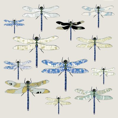 Odonata, 2008 (dijital) by Sarah Hough