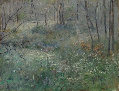 Yabani Maydanoz, 1900. by Sarah Paxton Ball Dodson