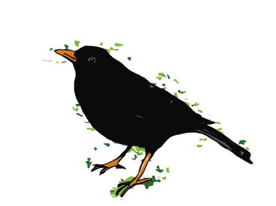 Blackbird,2018,(dijital çizim) by Sarah Thompson Engels