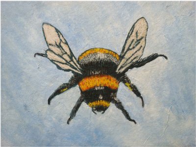 Bumblebee, 2015 (pasteller ve sulu boyalar) by Sarah Thompson Engels