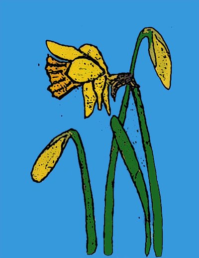 Nergis,2015 (mürekkepli monoprint) by Sarah Thompson Engels