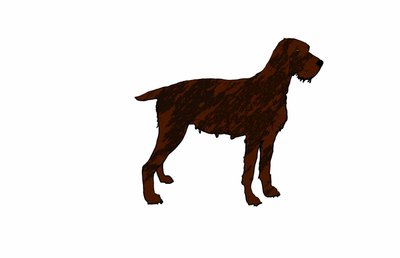Köpek,2018,(dijital çizim) by Sarah Thompson Engels