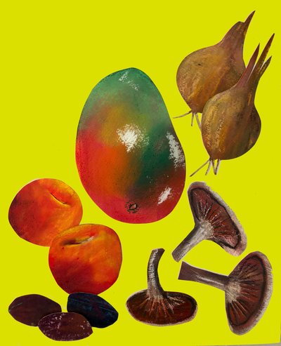 Meyve ve sebzeler,2020,kesilmiş by Sarah Thompson Engels