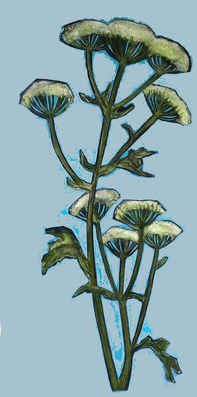 Hogweed 2020 (gemide akrilik) by Sarah Thompson Engels