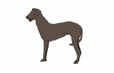 Hound,2018,(dijital çizim) by Sarah Thompson Engels