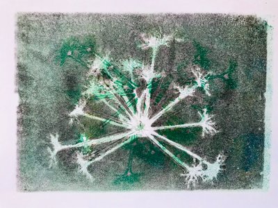 Seedhead I,2020,(tek baskı) by Sarah Thompson Engels
