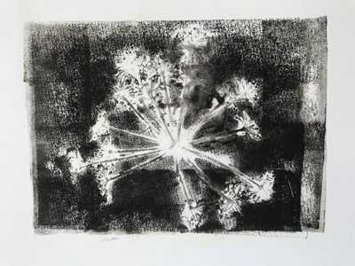 Seedhead II,2020,(tek baskı) by Sarah Thompson Engels