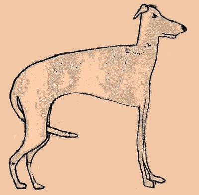 sıska köpek by Sarah Thompson Engels