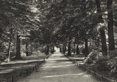 Berlin: Tiergarten (s/b fotoğraf) by Sasha Stone