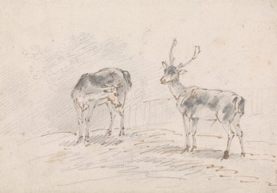 Doe ve Buck by Sawrey Gilpin