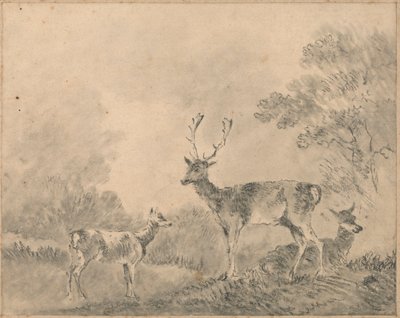 Alageyik: Bir açıklıkta Geyik, Doe ve Fawn by Sawrey Gilpin