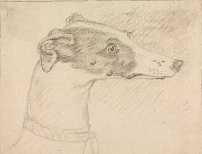 Greyhound'un Baş Portresi by Sawrey Gilpin
