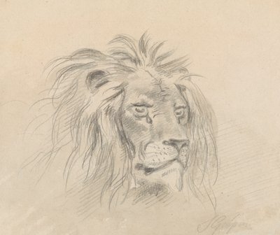 Aslan Başkanı by Sawrey Gilpin