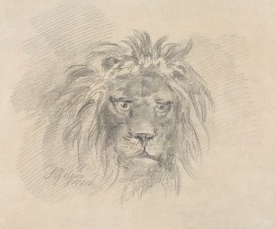 Aslan Başkanı by Sawrey Gilpin