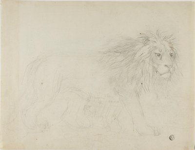 Aslan by Sawrey Gilpin