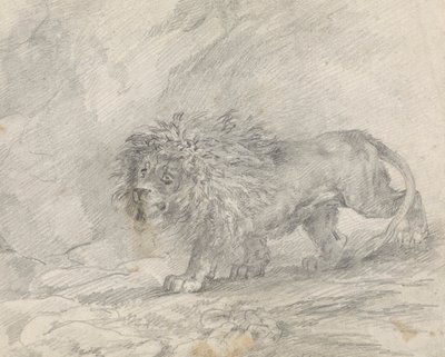 Kayalık Manzarada Yürüyen Aslan by Sawrey Gilpin