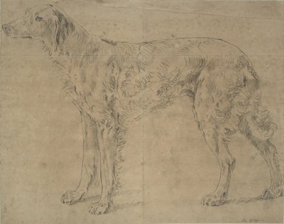 spor köpek by Sawrey Gilpin