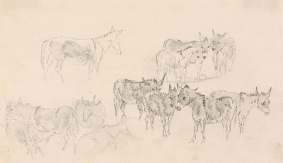 Eşek Çalışmaları by Sawrey Gilpin