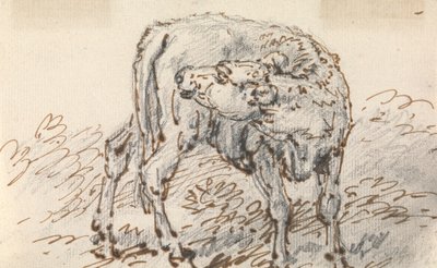 Buzağı Çalışması by Sawrey Gilpin