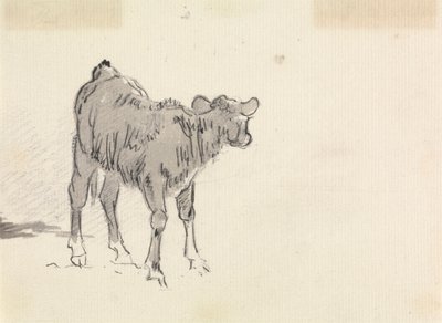 Buzağı Çalışması by Sawrey Gilpin