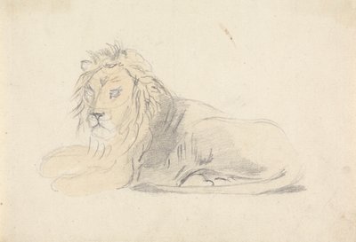 Aslan Çalışması by Sawrey Gilpin
