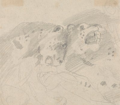 iki leopar by Sawrey Gilpin