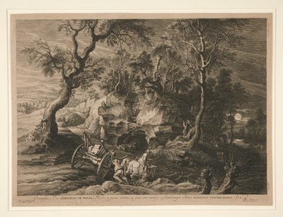 Tarlalardan Ev by Schelte Adams Bolswert