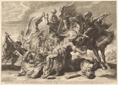 aslan avı by Schelte Adams Bolswert after Sir Peter Paul Rubens