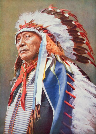 Baş İçi Boş Boynuz Ayı (1850-1913) (renkli taş) by School American