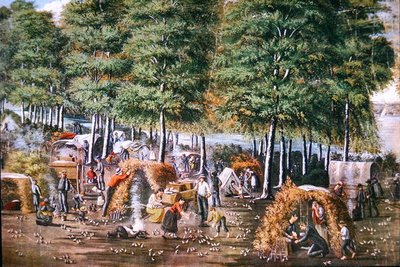 Bıldırcın Mucizesi (renkli taş) by School American