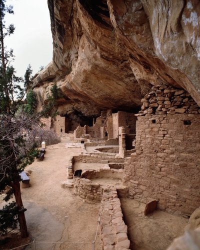 Ladin ağaç evinin görünümü (1993, Fotoğraf) by School Anasazi