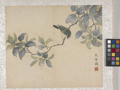  by School Chinese
