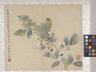  by School Chinese