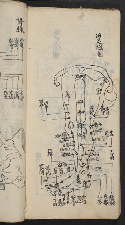 Bacaktaki akupunktur noktaları, Jing Guan Qi Zhi