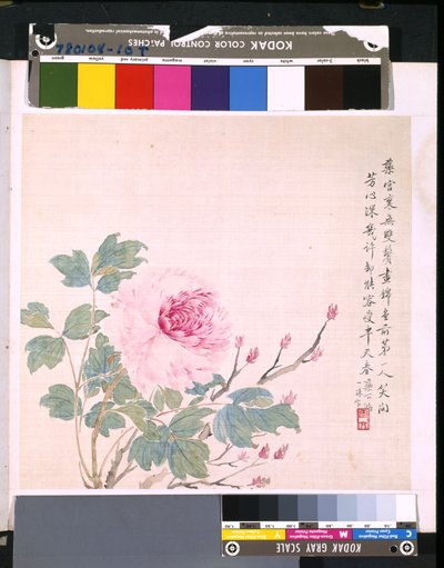  by School Chinese