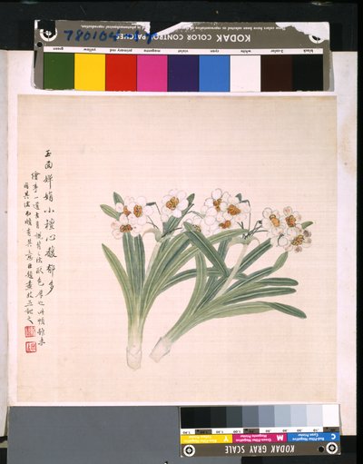  by School Chinese